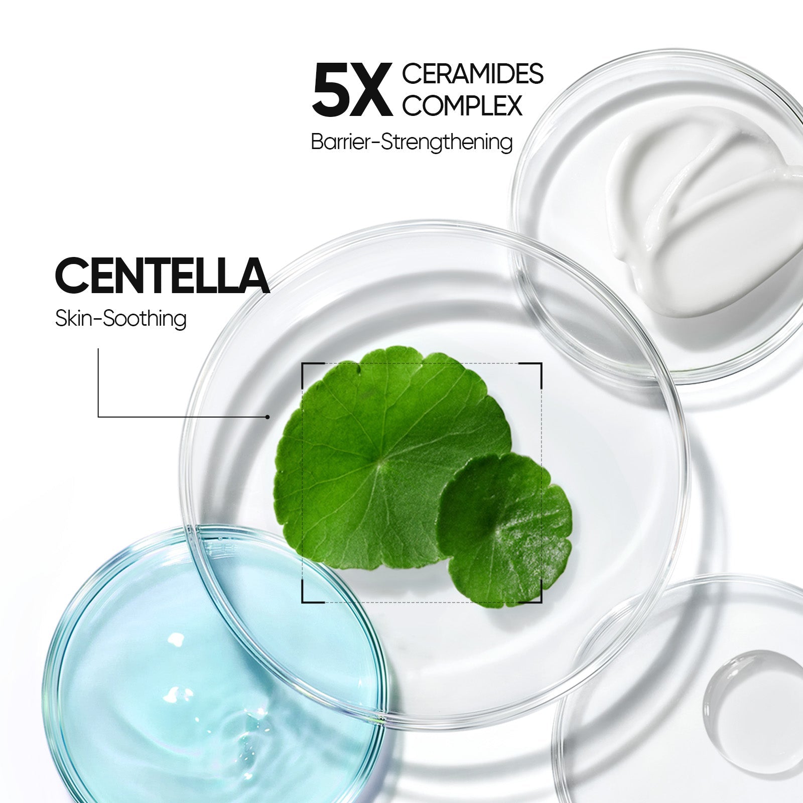 Day & Night Cream Duo - Glow Bright Day Cream & 5X Ceramide Barrier Repair Moisture Gel