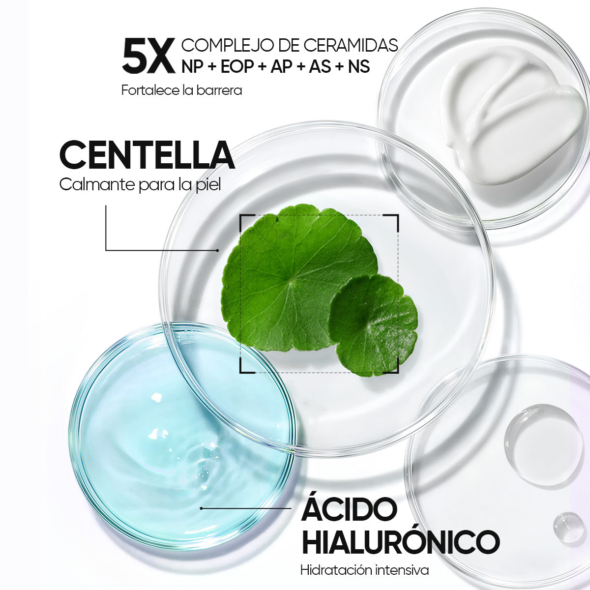 Sérum labial + Cushion de cobertura + Hidratante reparador de barrera con 5X ceramidas